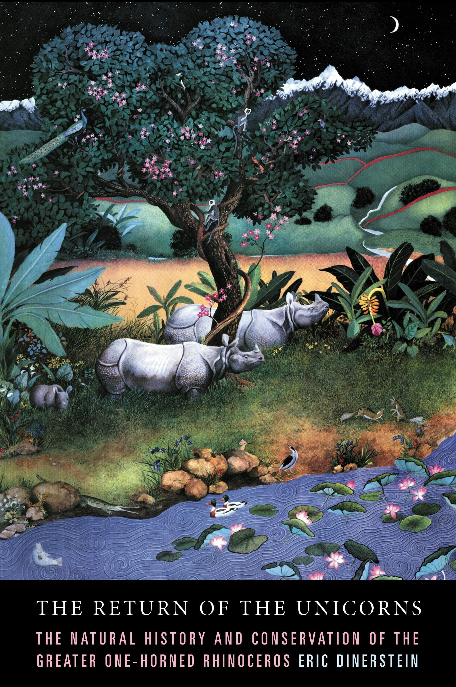 Book cover image for The Return of the Unicorns ISBN: 9780231084512